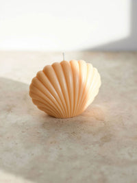 Opal Living Shell Candle