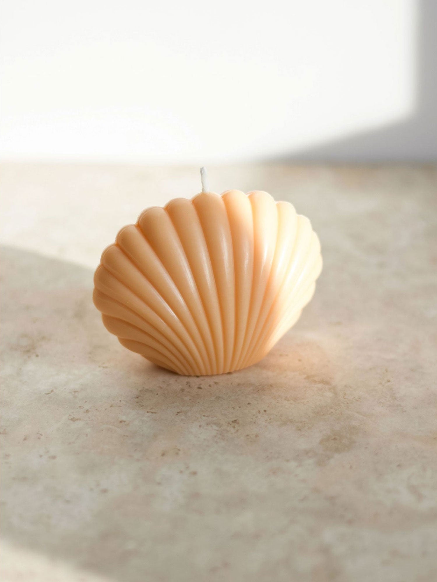 Opal Living Shell Candle